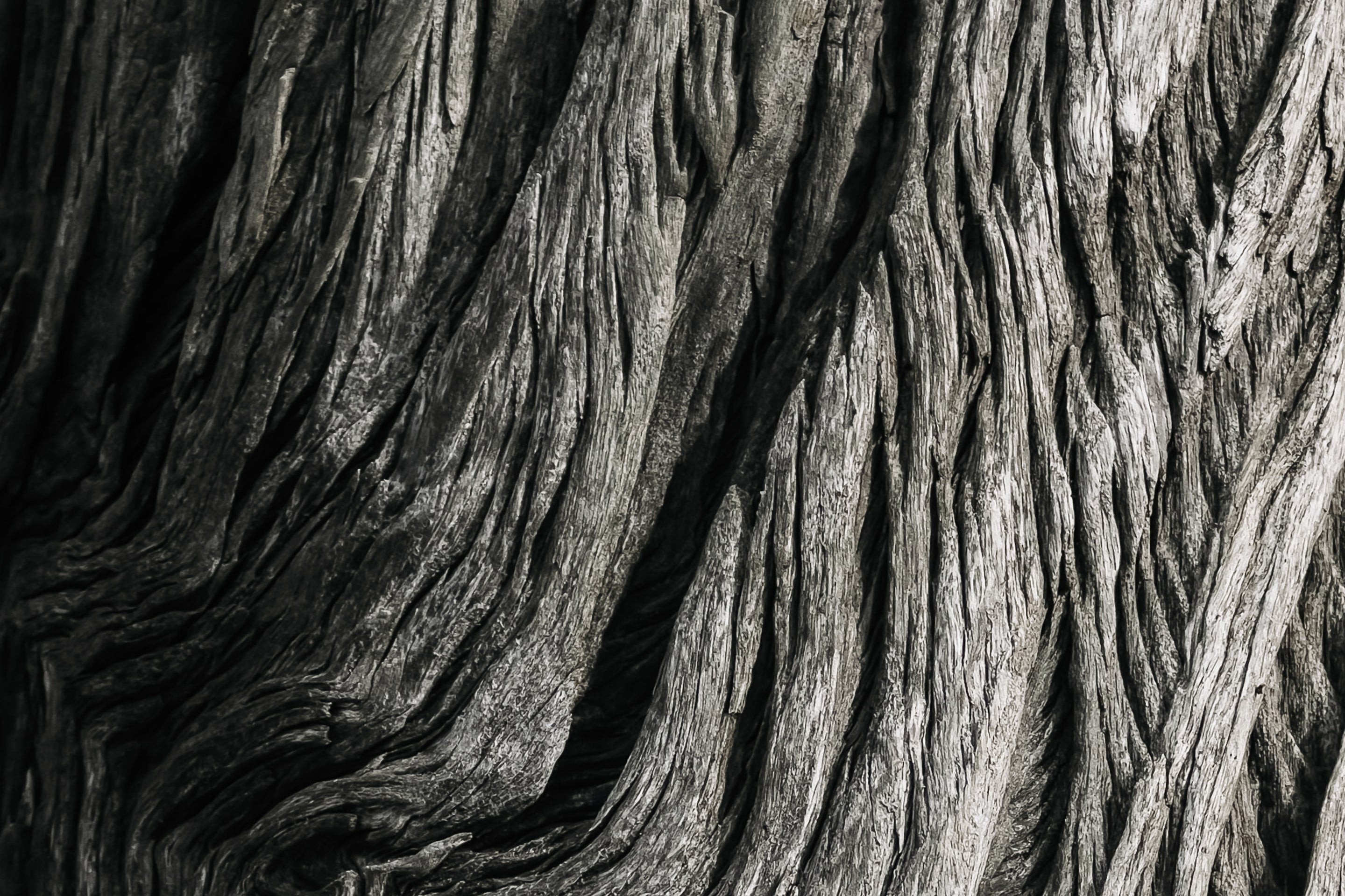 Wood Grain Texture