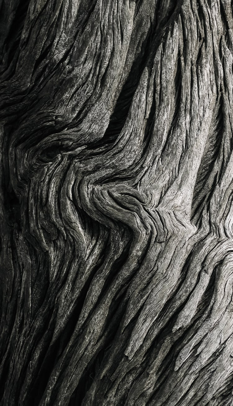 Wood Grain Texture Black and White